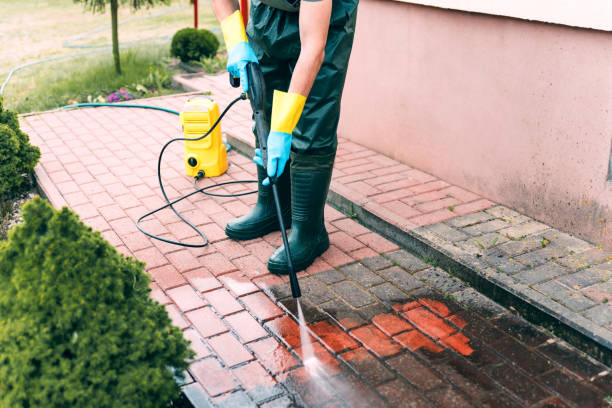 Best Solar Panel Cleaning  in Sanger, CA