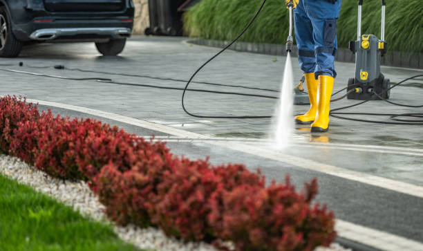 Best Soft Washing  in Sanger, CA